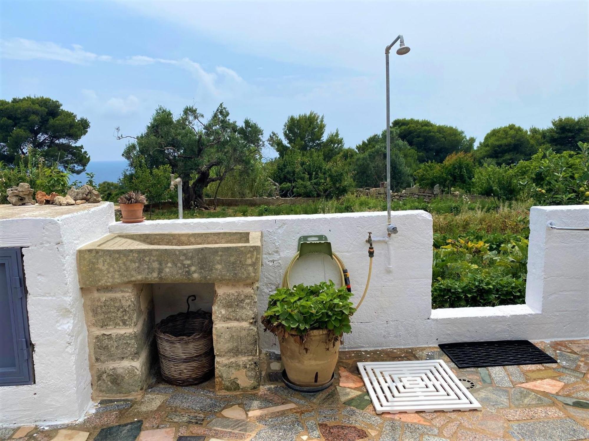 Pajara Alle Macchie * Torre Vado